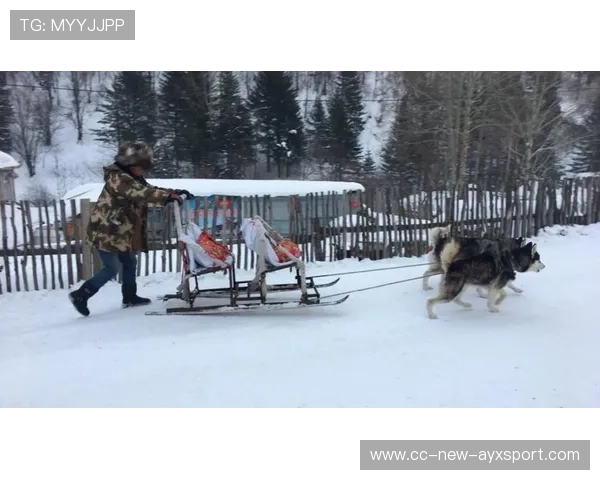 极限雪橇高速下滑惊险无比