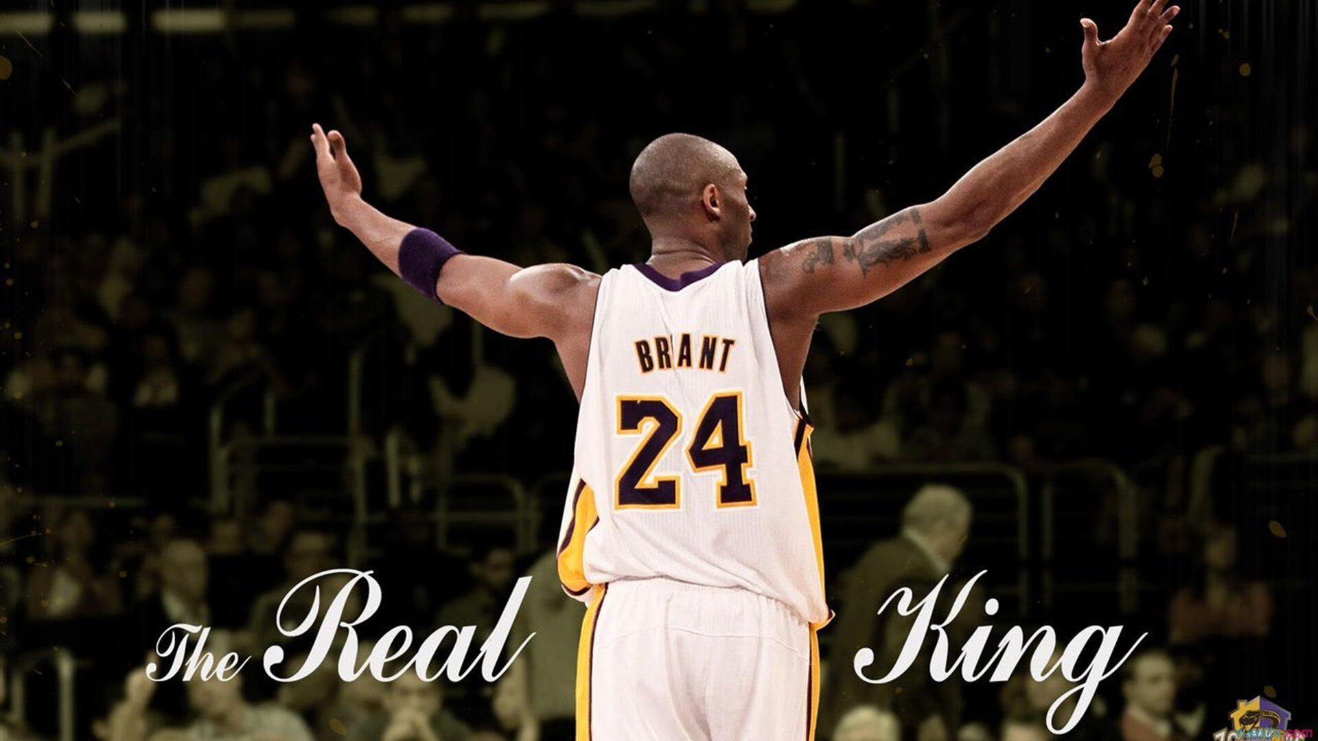 主编有态度丨全红婵,你依然是那个最强的国民妹妹!,全红婵暴露喜剧天赋_突然飙粤语笑翻全场,一句话让记者